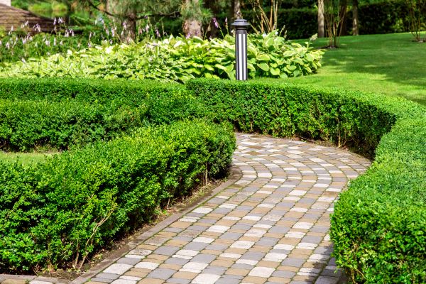Paved Landscaping in Temecula