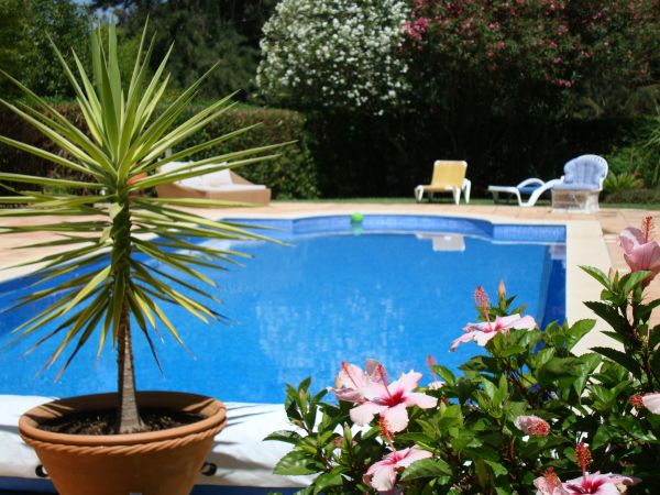 Pool Terrace Renovation in Temecula